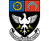 Mentor or intern affiliation 15